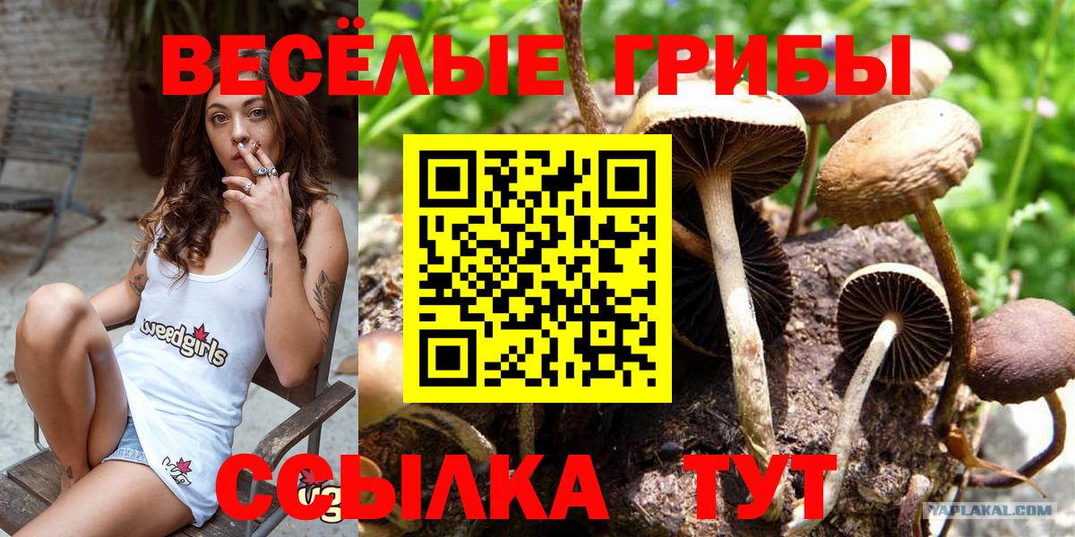 Псилоцибиновые грибы Psilocybine cubensis  Вход с VPN  Галлюциногенные грибы Psilocybine cubensis  магазин    Ухта 